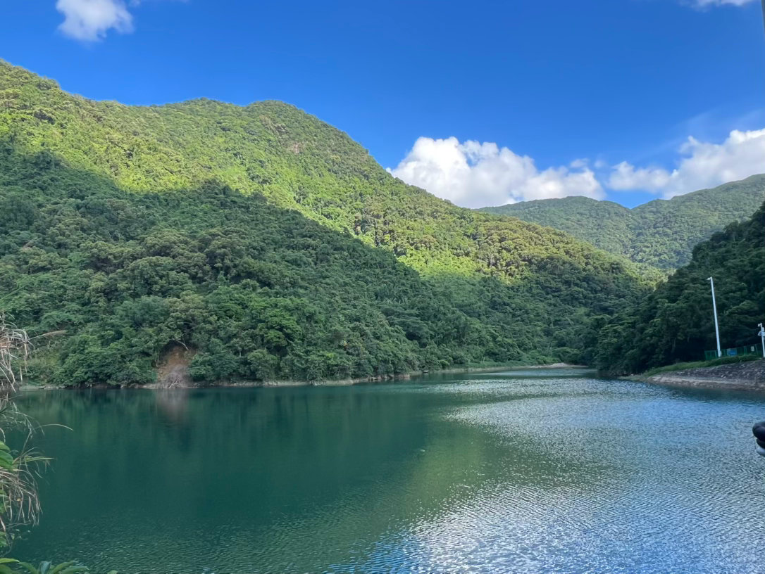 看到这段话说的非常好。“你一定要把自己，打造成独一无二的最高版本。强烈建议你大大