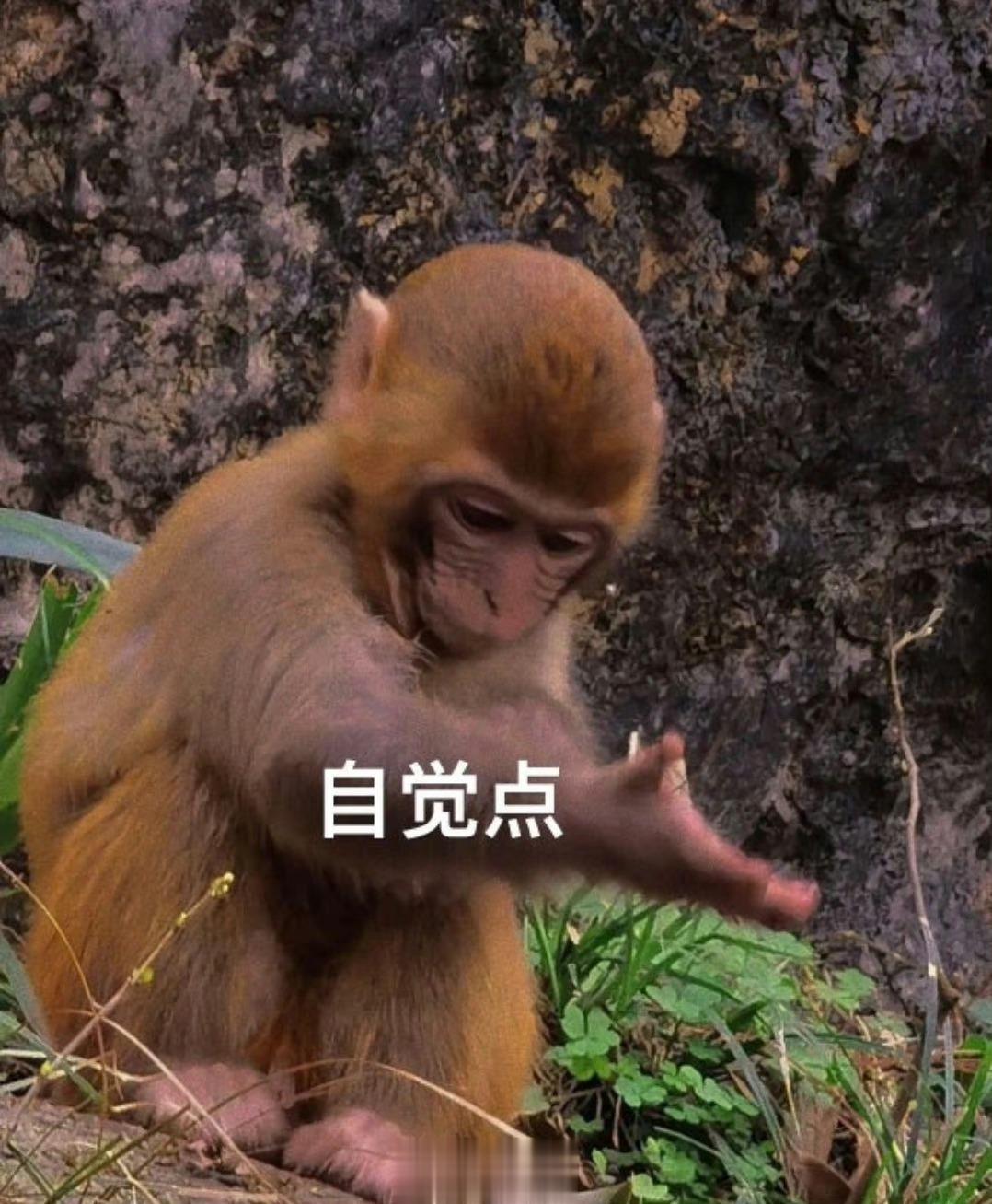 新到好多衣服就要找各种地方拍[泪]这周课还超多，还得硬挤时间，不想work不想s