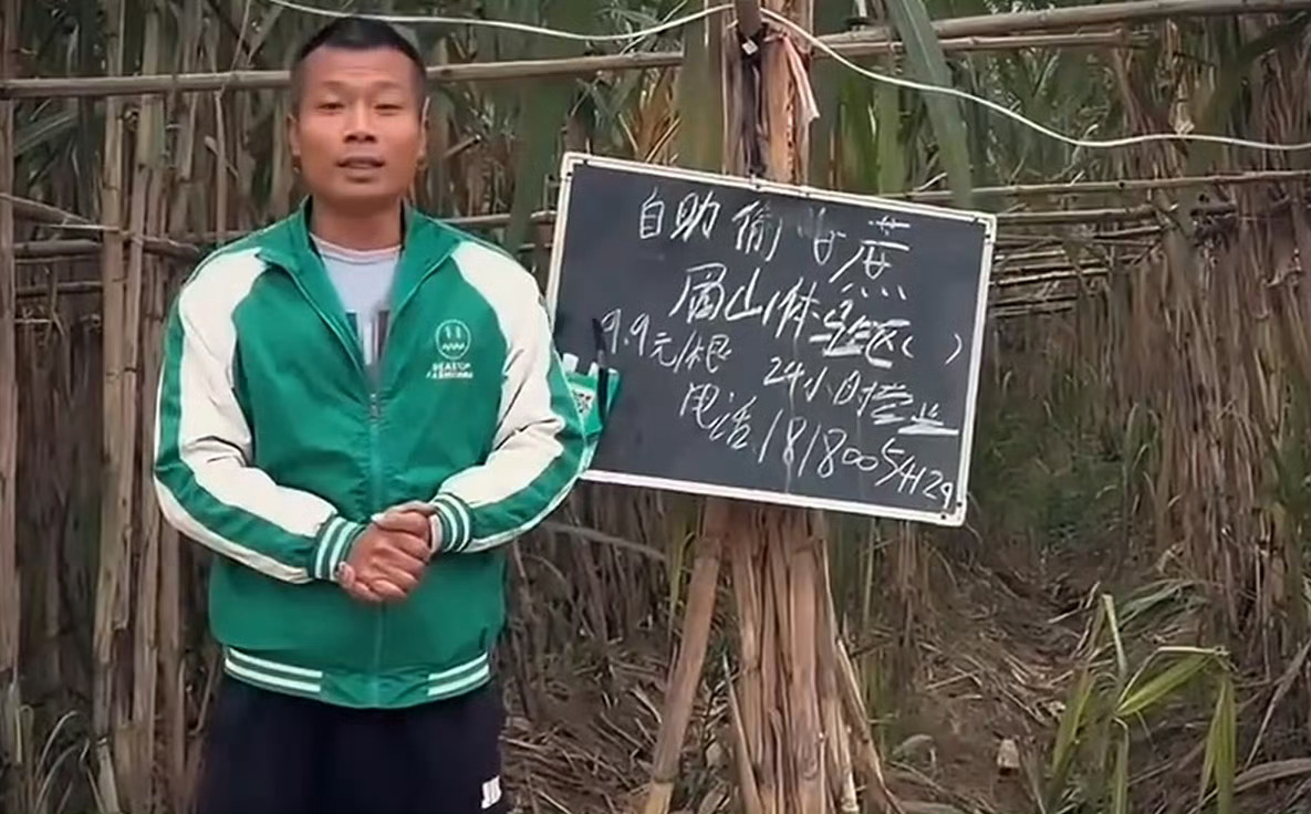 俊明说评:    最近，四川眉山“偷甘蔗”活动爆火。起因是四川眉山大哥童鹏飞家甘