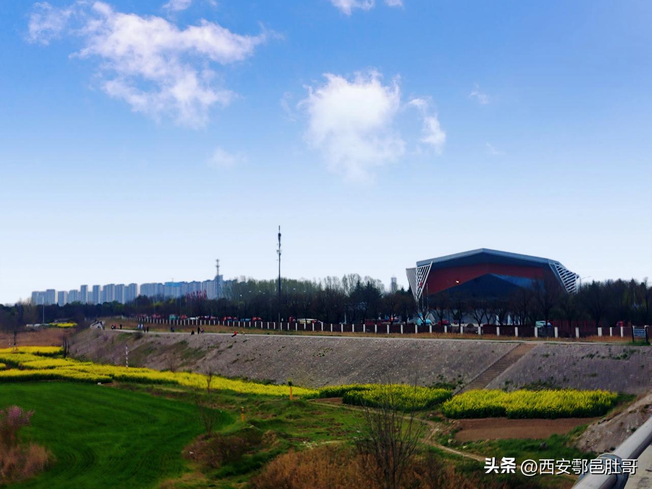 听说西安高陵区城区2026年4月1号要开始机动车路边停车收费啦！1月23日，高陵