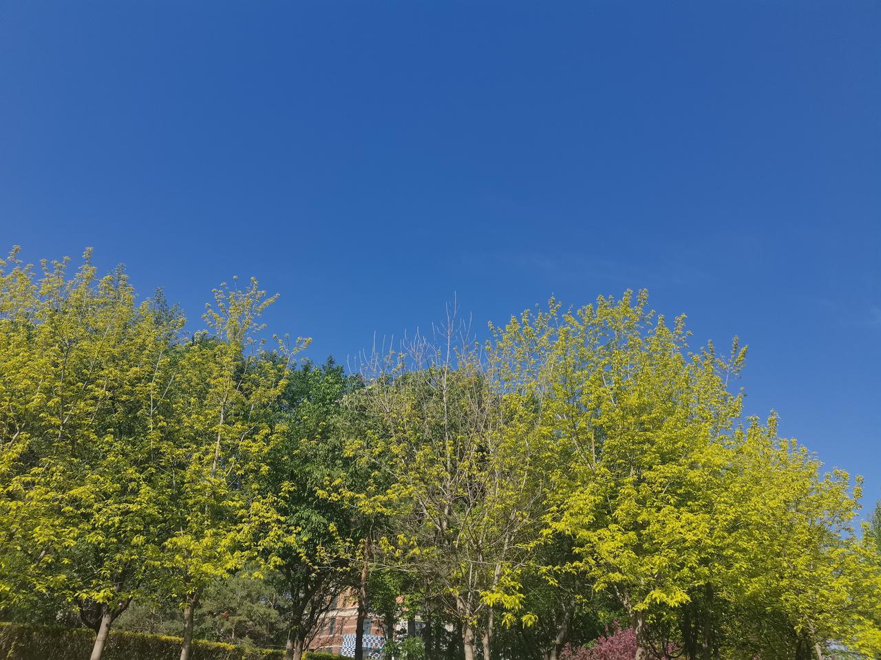 天暖且热，今天上午在老年大学。

又看见近百岁的老人学的那么认真，有些浮躁的心，