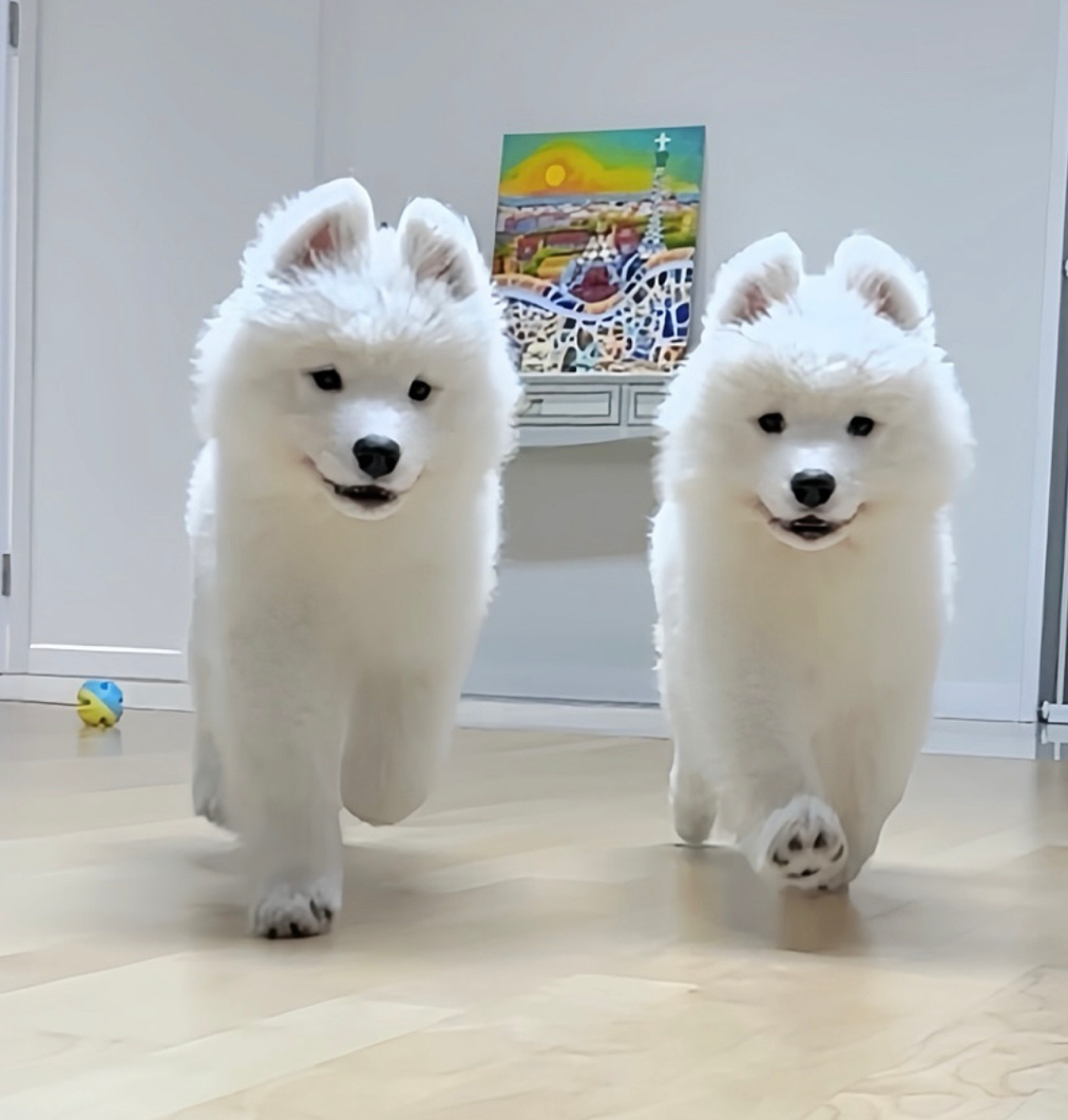 快！妈妈要到家了！快去迎接她！ 