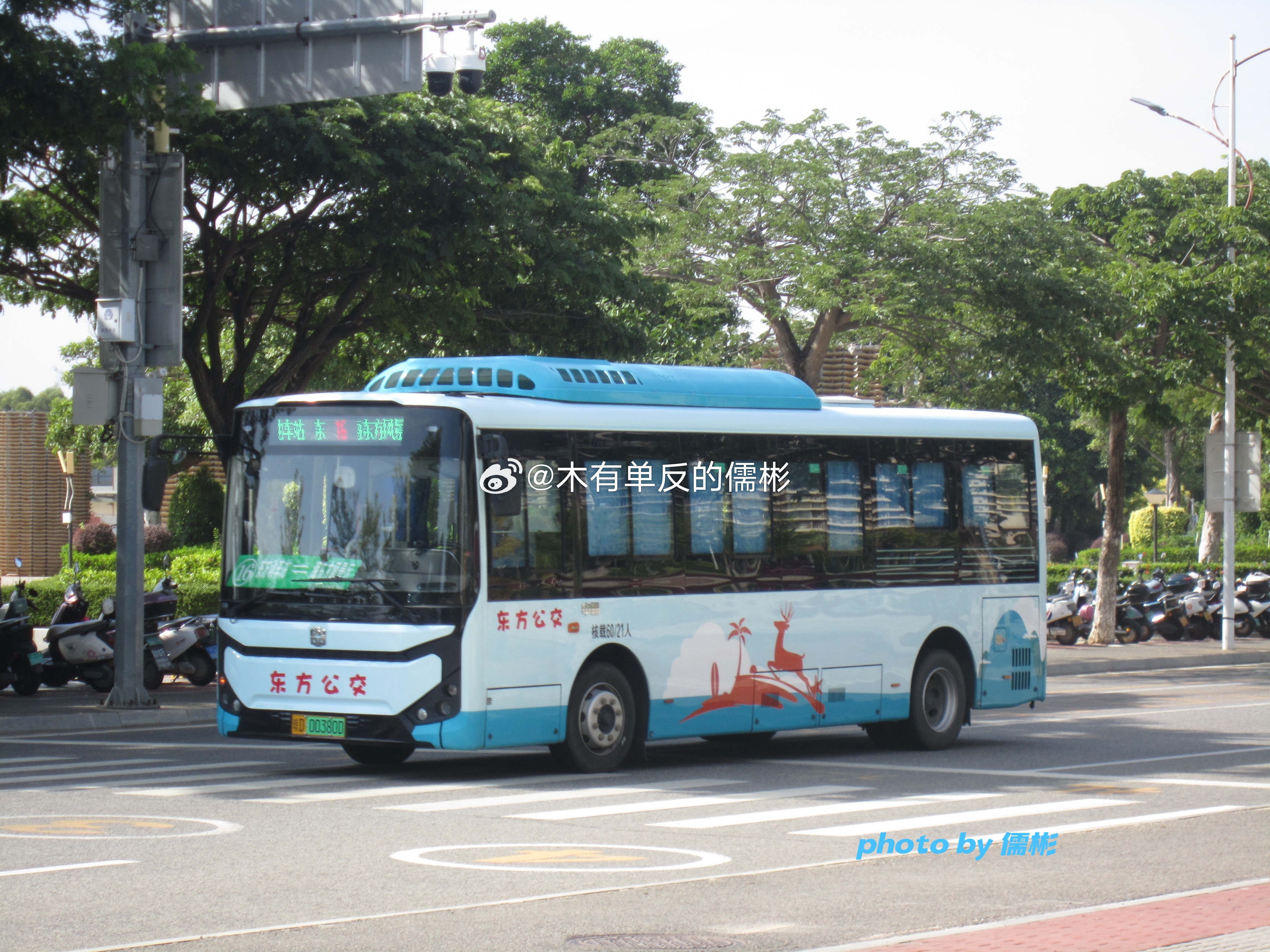 上路一年多，终究还是胶改电了东方海汽公交于2025年1月上路的中通LCK6816