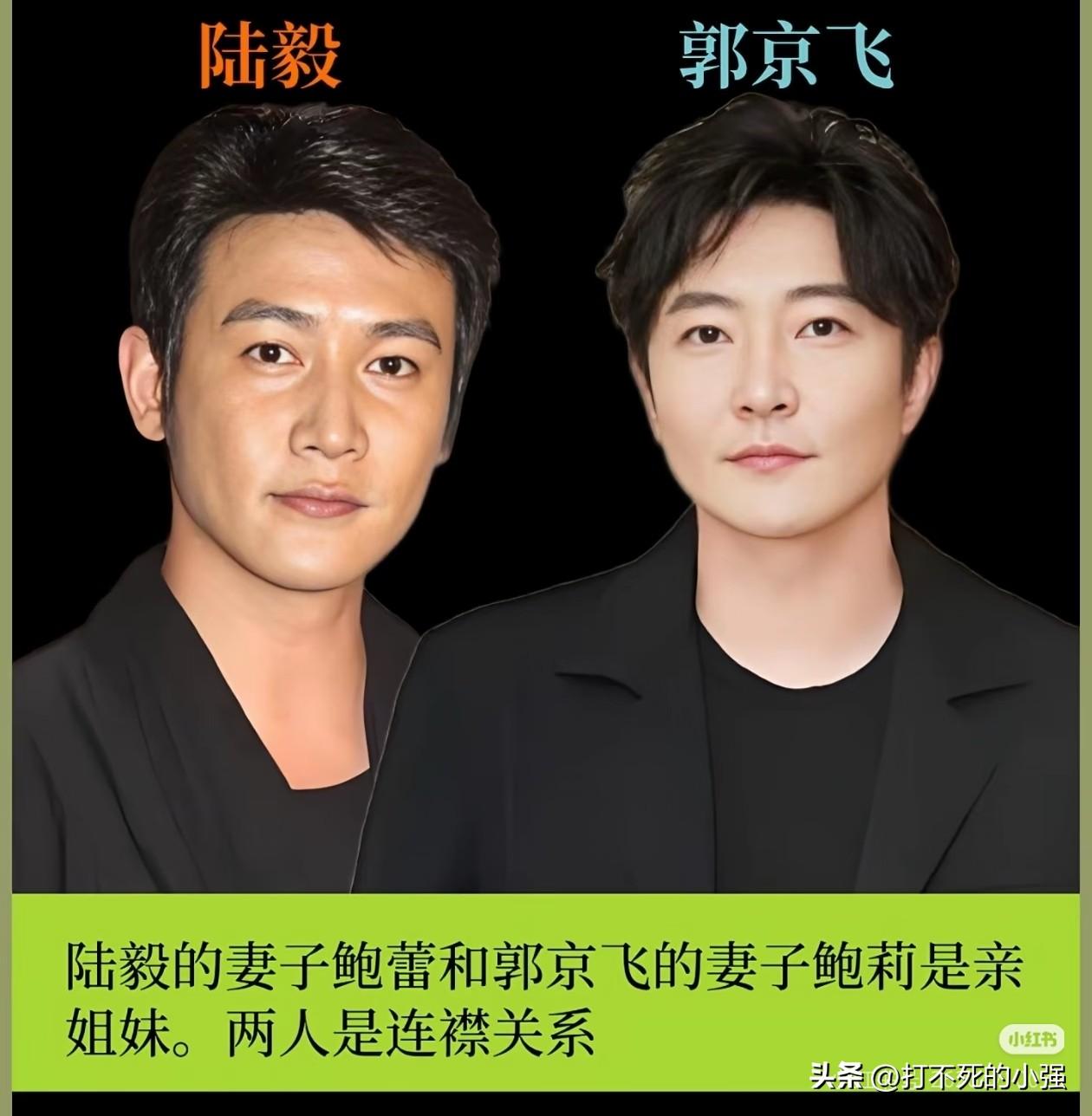 都说娱乐圈圈子很小，
有些明星表面毫无交集，私下居然是亲戚！
陆毅和郭京飞，两人