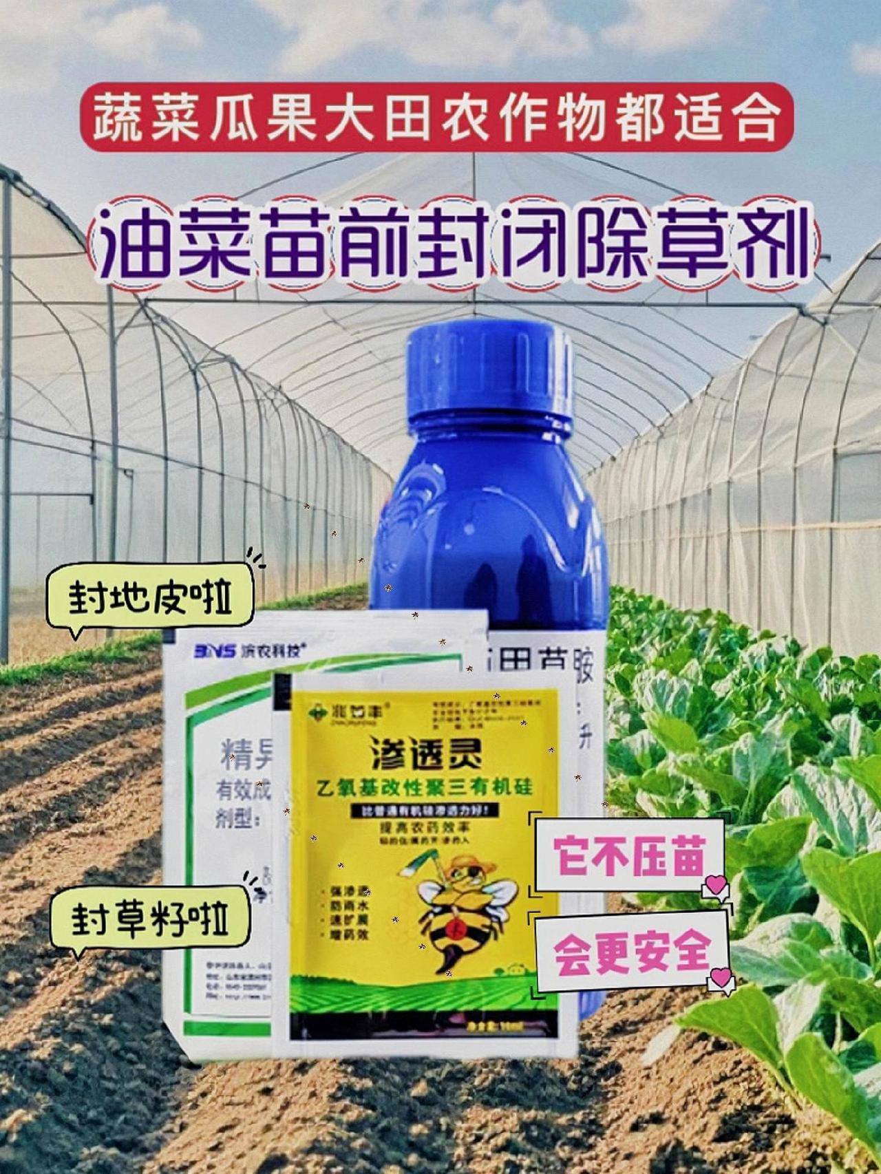 新手种菜的妙招：你怀揣着对生机勃勃小菜园的憧憬，却总被杂草与施肥问题困扰？不必忧