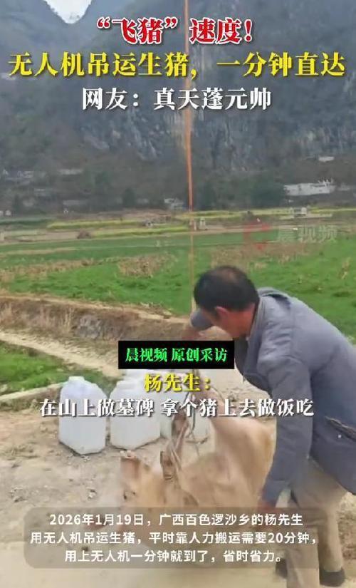 近日广西百色逻沙乡，杨先生用无人机吊运180斤活猪的视频走红。其使用的无人机最大