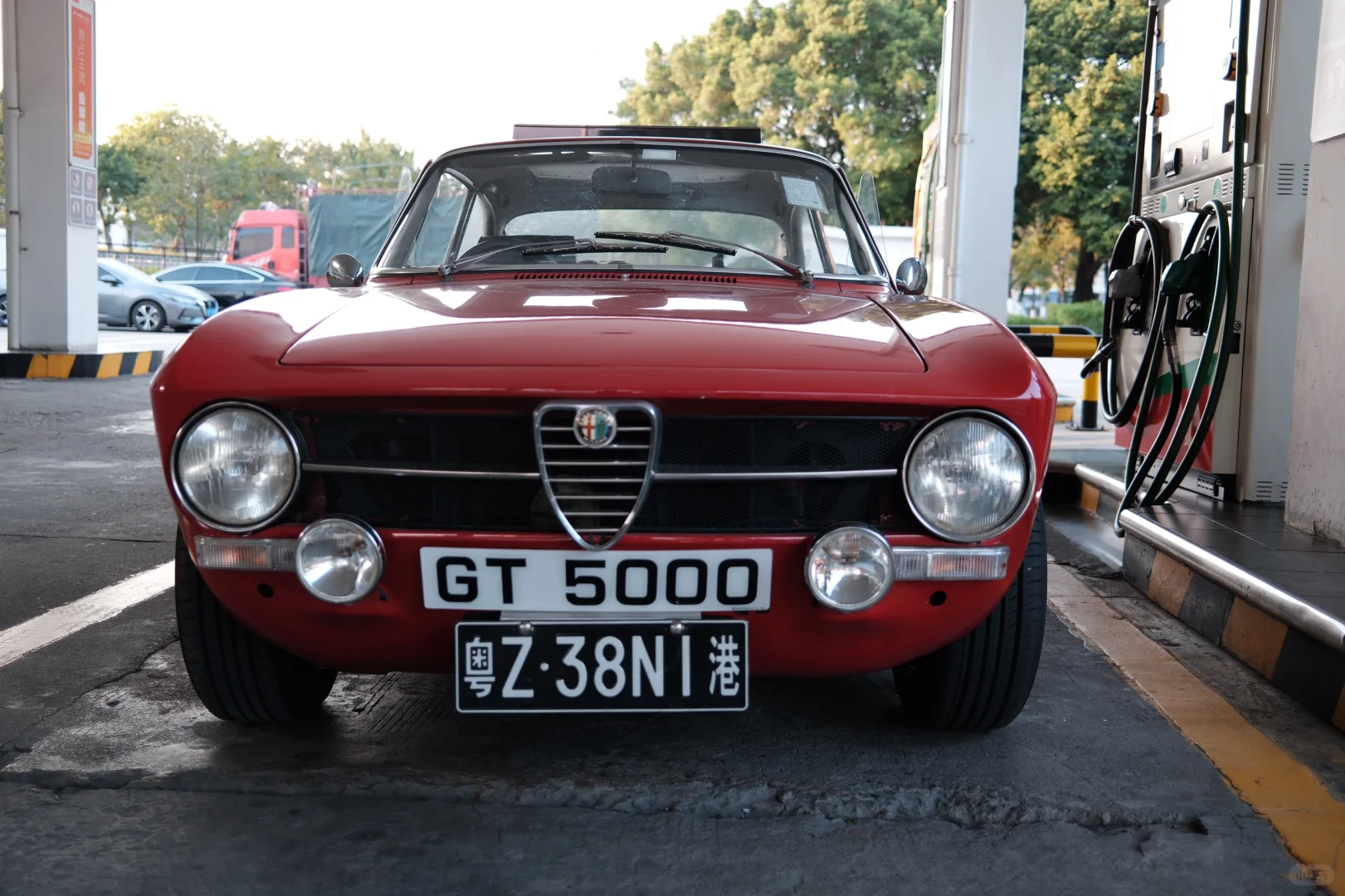 今天属于alfa gt junior[玫瑰]