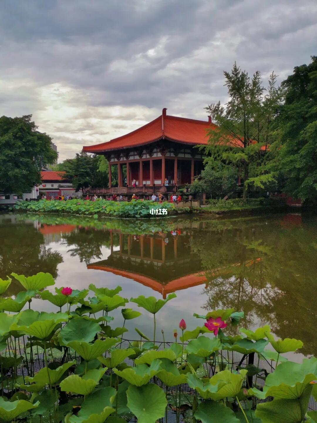 在成都这座1600年的园林寻幽访古赏荷