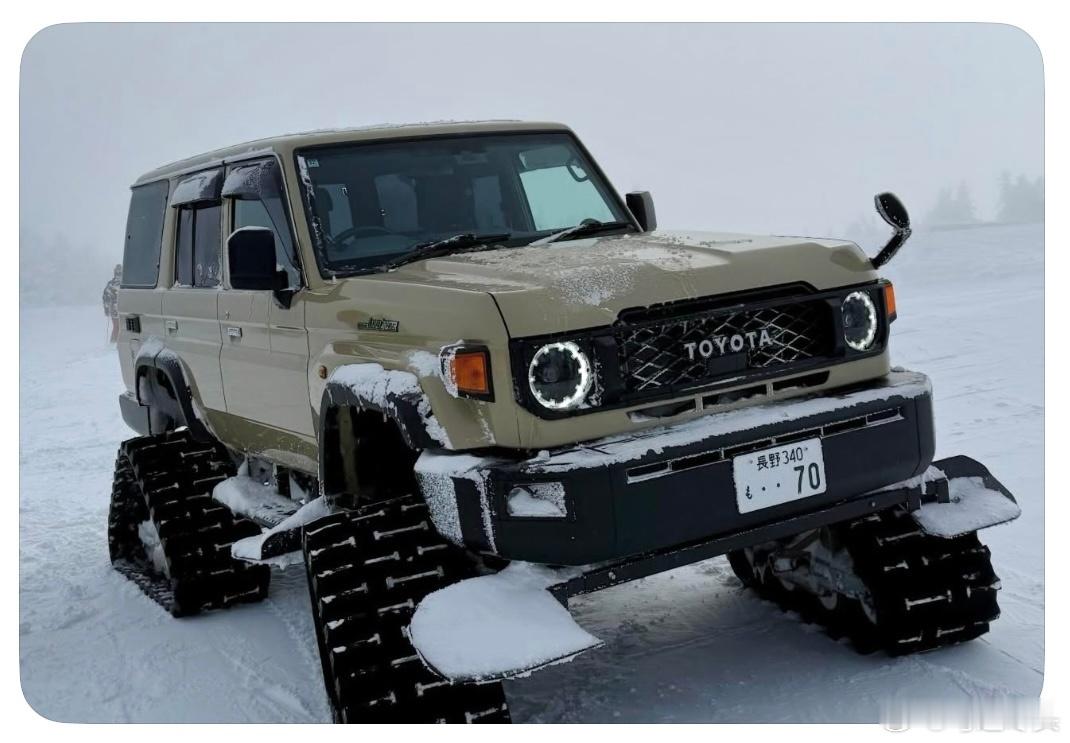 陆地巡洋舰  履带进化上万元加拿大鹅三亚仅6900元