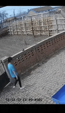 小姐姐路过，
很害怕。