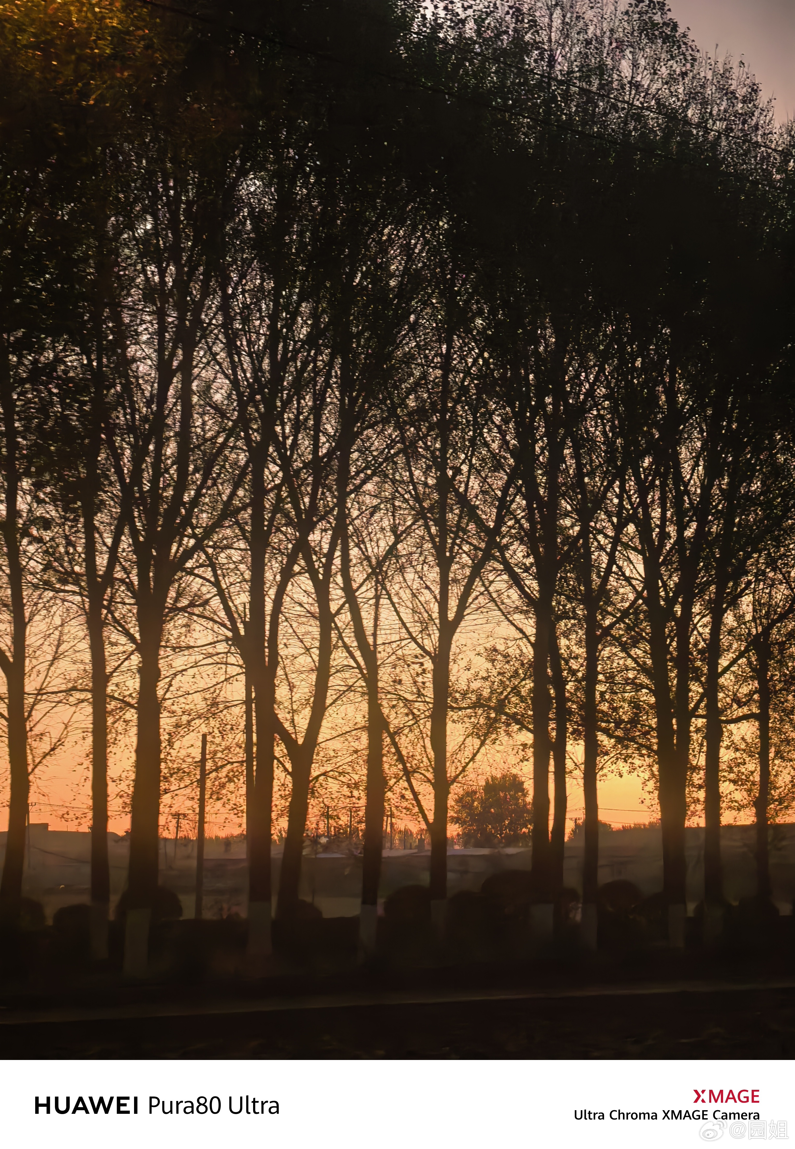 早啊，我是不是起的最早[挤眼] ​​​