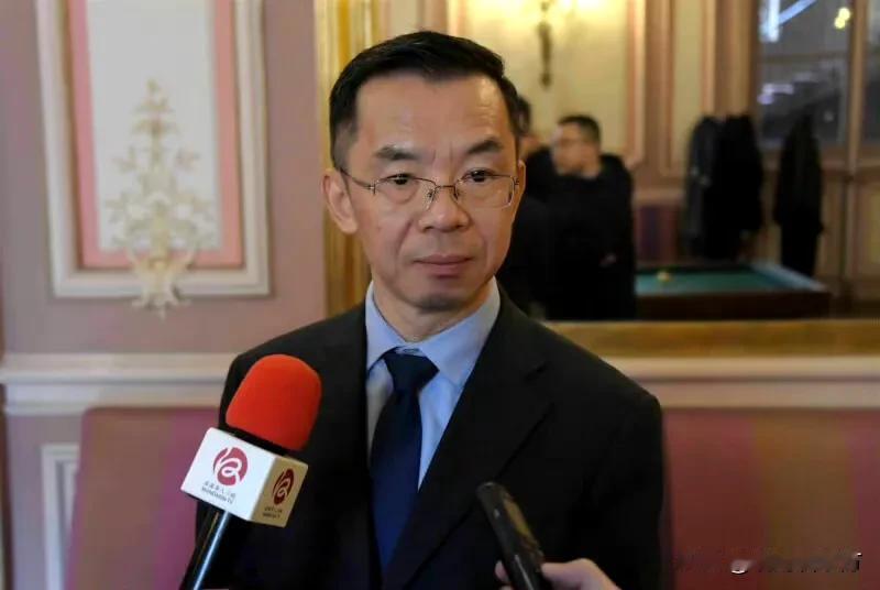 《南华早报》称前驻法国大使卢沙野已接任中方的欧洲事务特别代表。有欧洲外交官对于特
