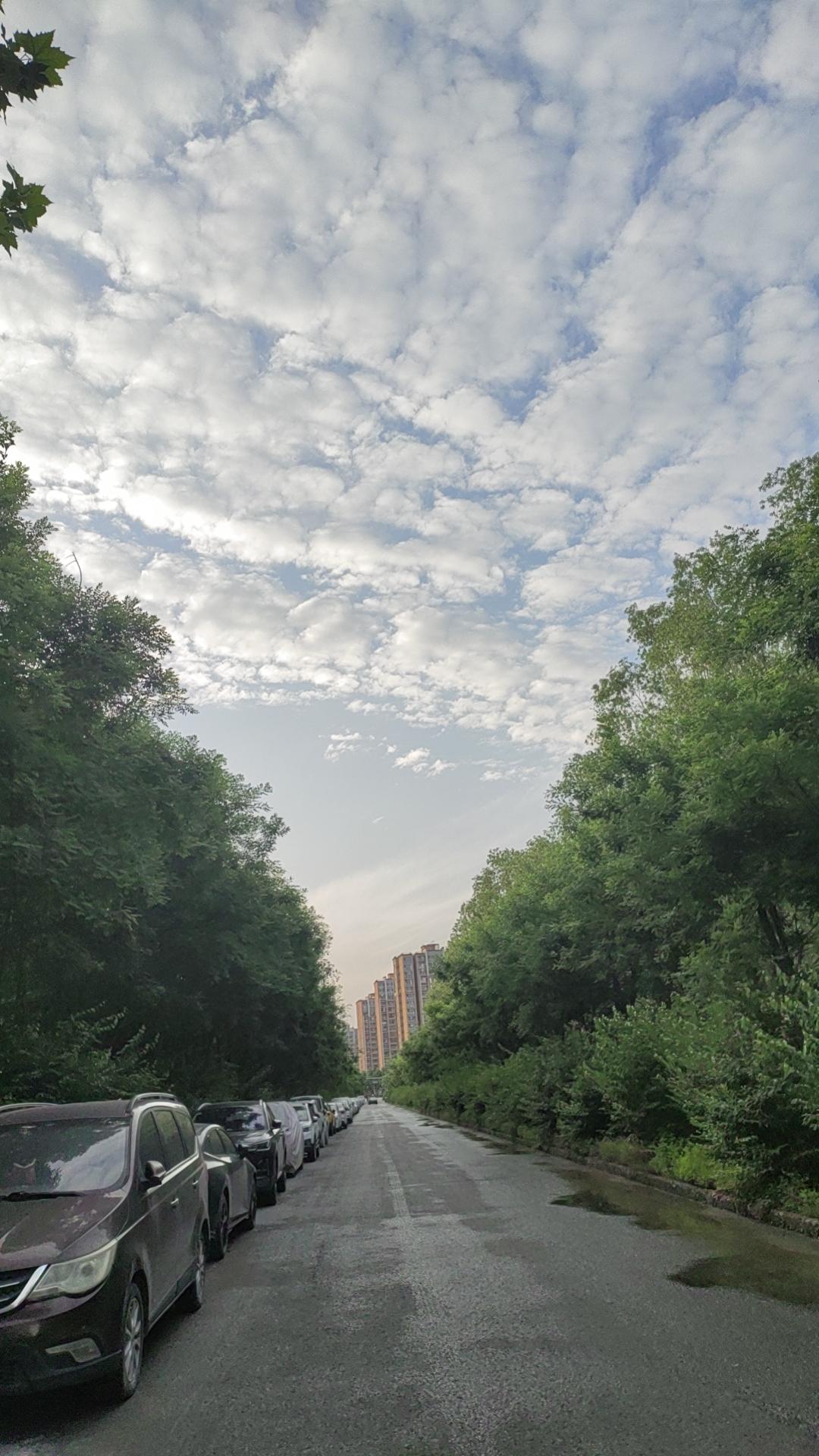 每当不快乐时，孤独时，就想自己还活着，与其那些重病大灾过去的人，或许活着就是幸福