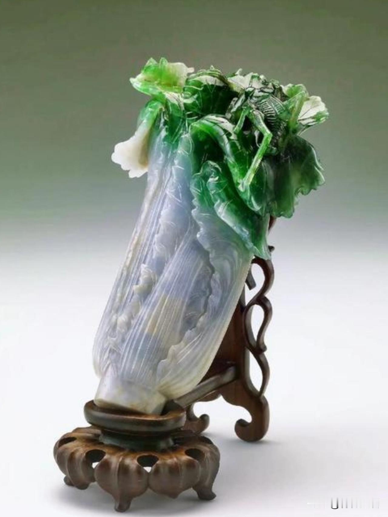 冬天了，都在聊白菜

这棵最贵的白菜

什么时候才会归来

白菜 
冬天白菜
东