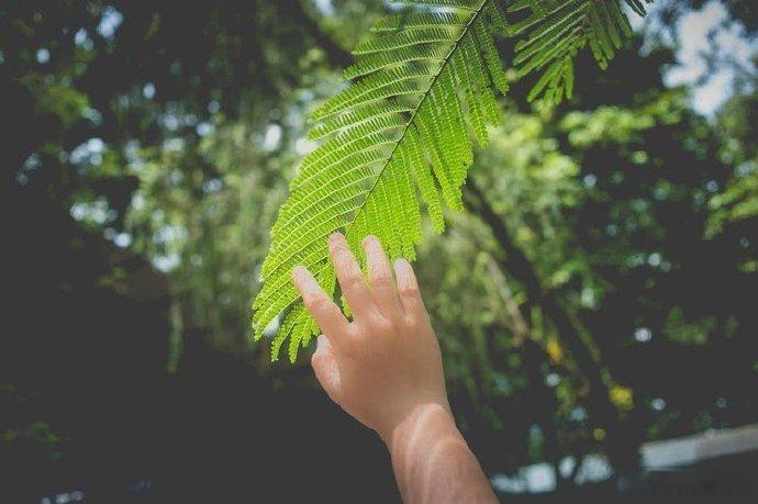 世间万物皆有情，难得最是心从容。——汪曾祺《人间草木》