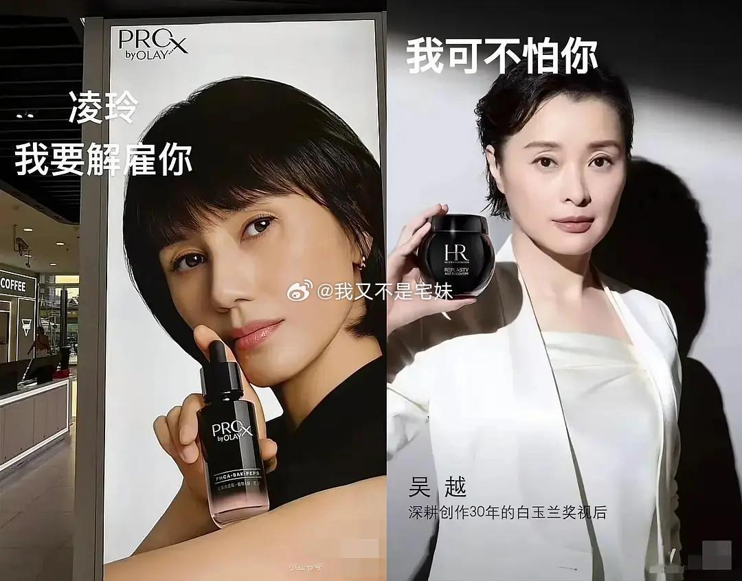 不知道大家最近短视频刷到过《我的前半生》里薛珍珠女士找凌玲那个二创片段没，你看事