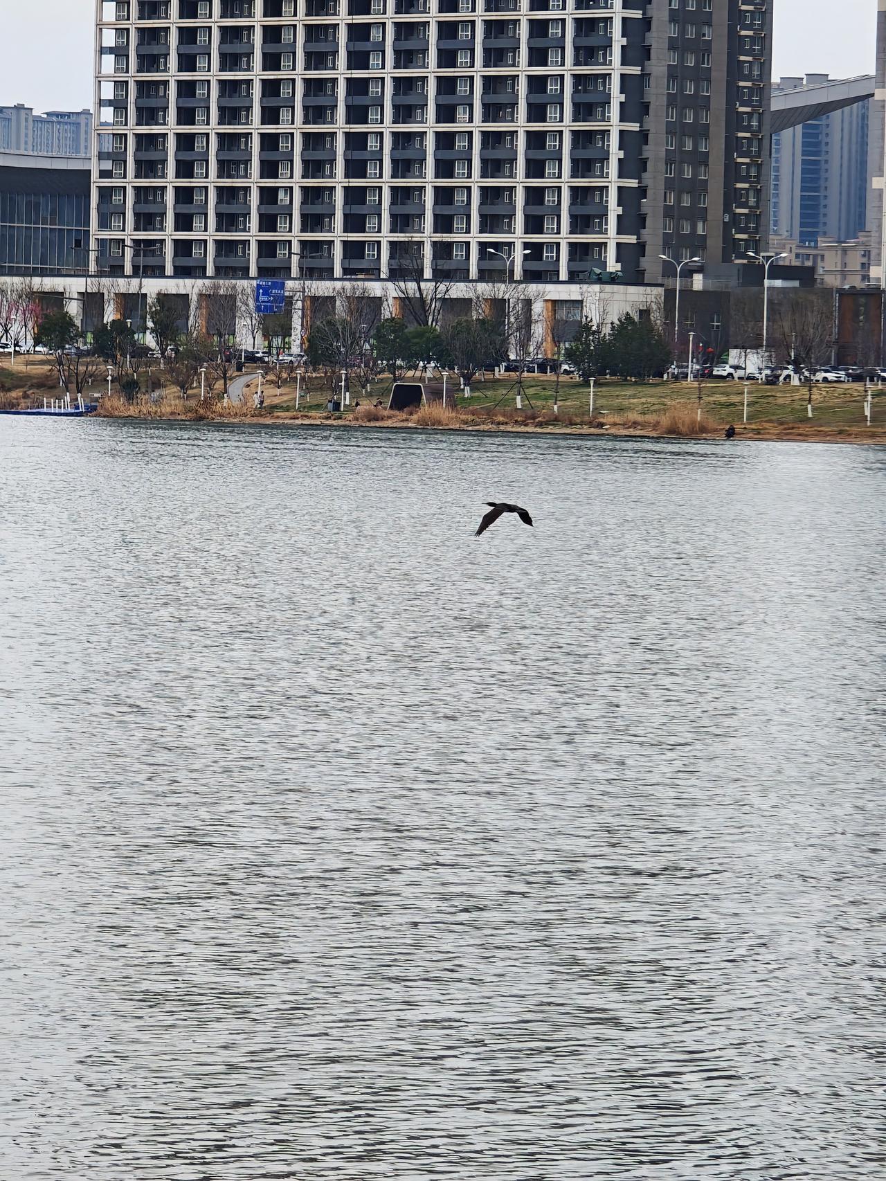 理念实践记录不止是行为会成为习惯，思维和情绪也会。
分享今日的感悟