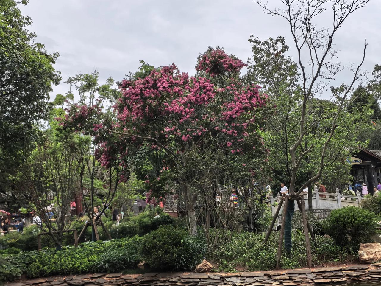现在这个时代，不管什么年龄的人，都去做好个人IP，个人品牌，让大家先知道你。向阳