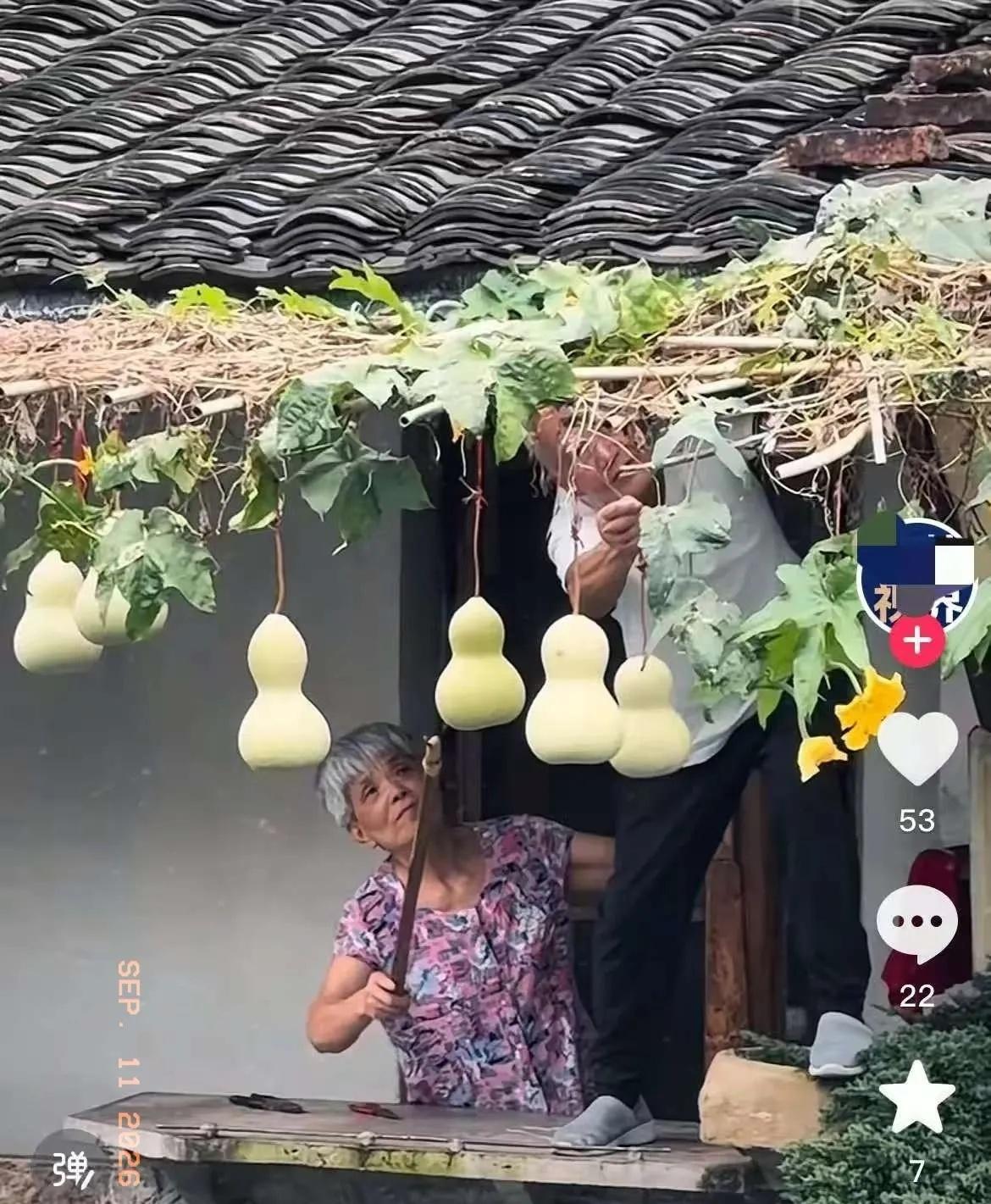 爷爷为什么又把葫芦挂上去了？
 
其实原因很简单，不是因为被谈话了，而是因为之前