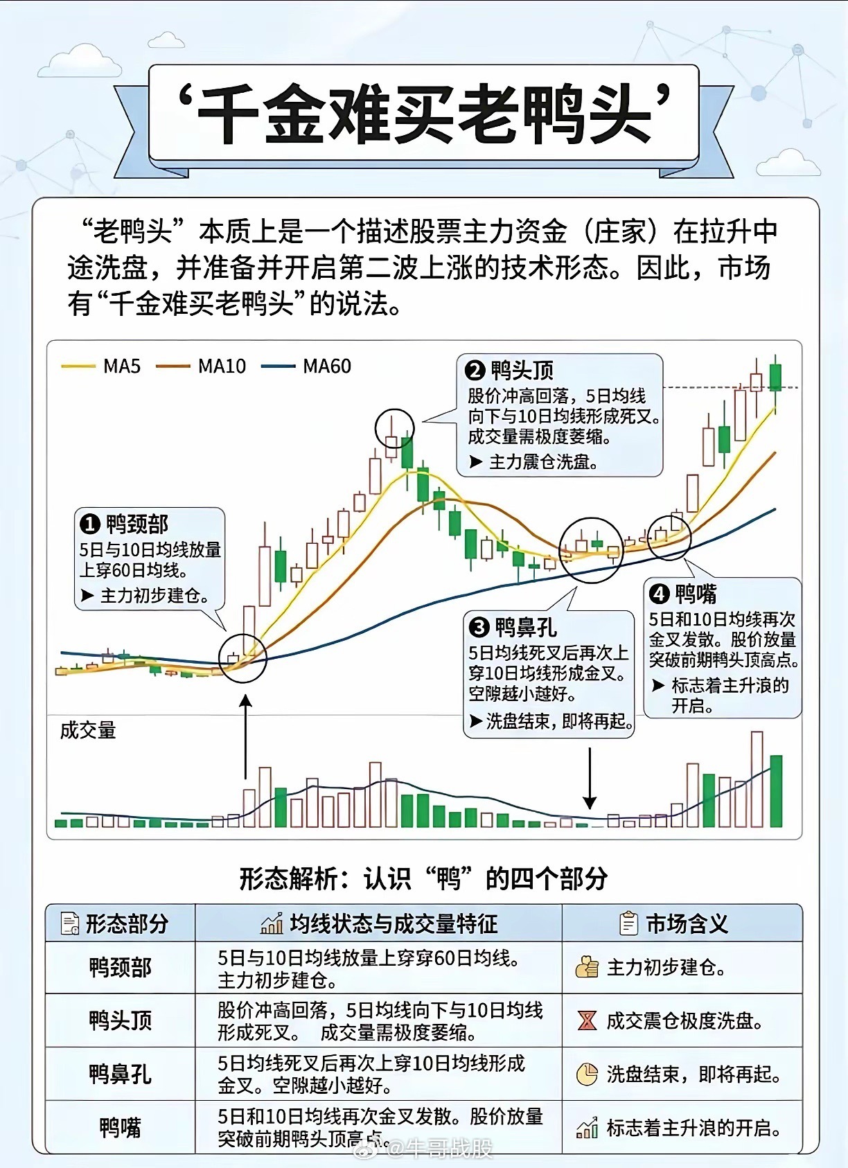 画k线老鸭头 