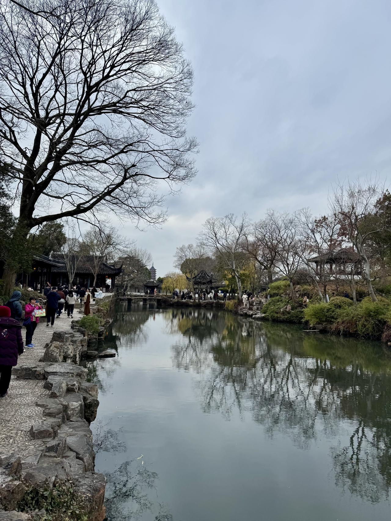 苏州拙政园，简直是随手拍风景的宝藏地！11月去赏枫，那叫一个绝。红枫似火，搭配白