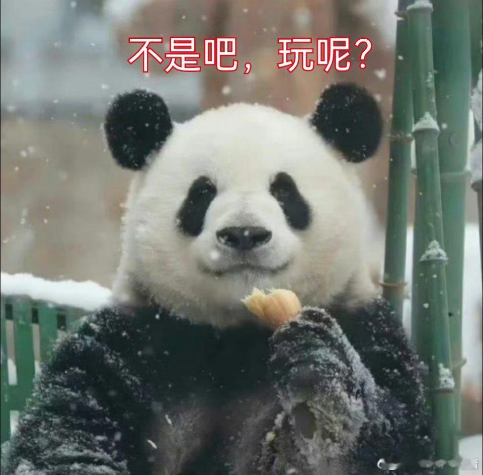 春晚节目单沈腾马丽没小品，还弄了个微电影？？也就是早拍好的，早录好的？？ 