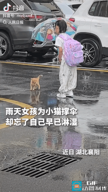“这就是骨子里的善良！”湖北襄阳，一名6岁小女孩在雨中偶遇一只小猫，于心不忍，将