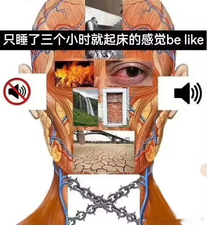 6337你每天睡几个小时？ 