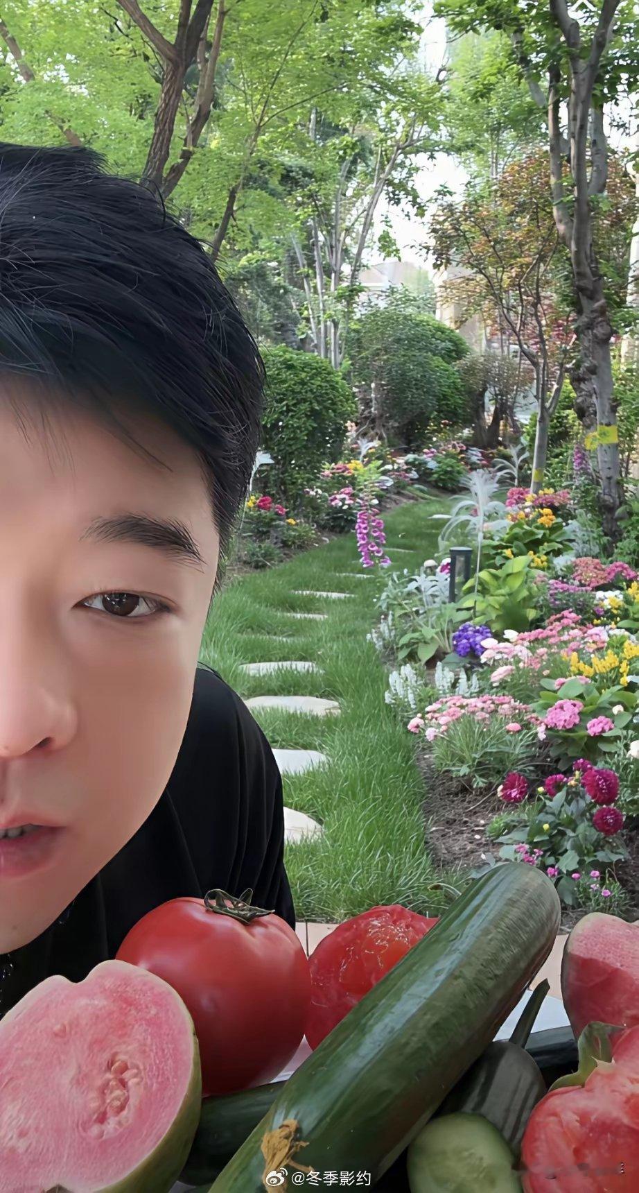 兰姐不在家，司机小董给兰姐看家，兰姐花园里的花草，大部分都是小董打理的，前几天，