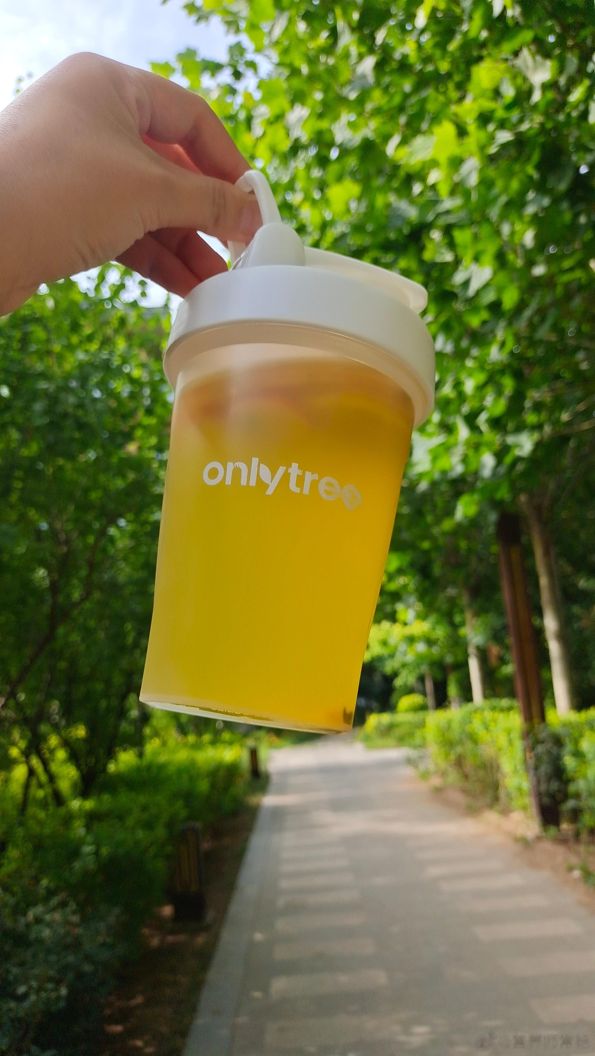 #多巴胺柠檬茶#早ﾉ☀“ 当努力成了人生常态，生活就充满希望 ”#早安# [微风
