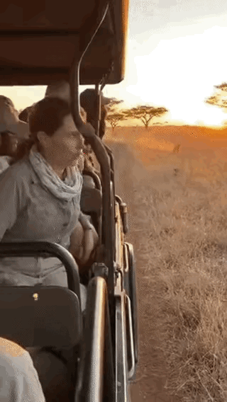 不懂就问，
这个是AI吗？还是真实的？