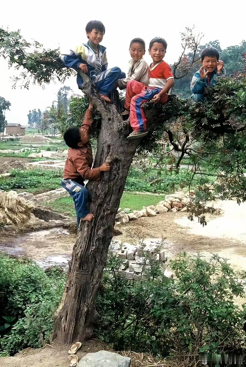 1988年，湖北。农村的暑假 