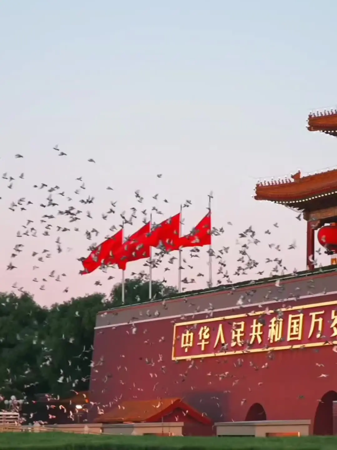 🇨🇳我们生在红旗下，长在春风里，目光所至皆为华夏，五星闪耀皆为信仰。