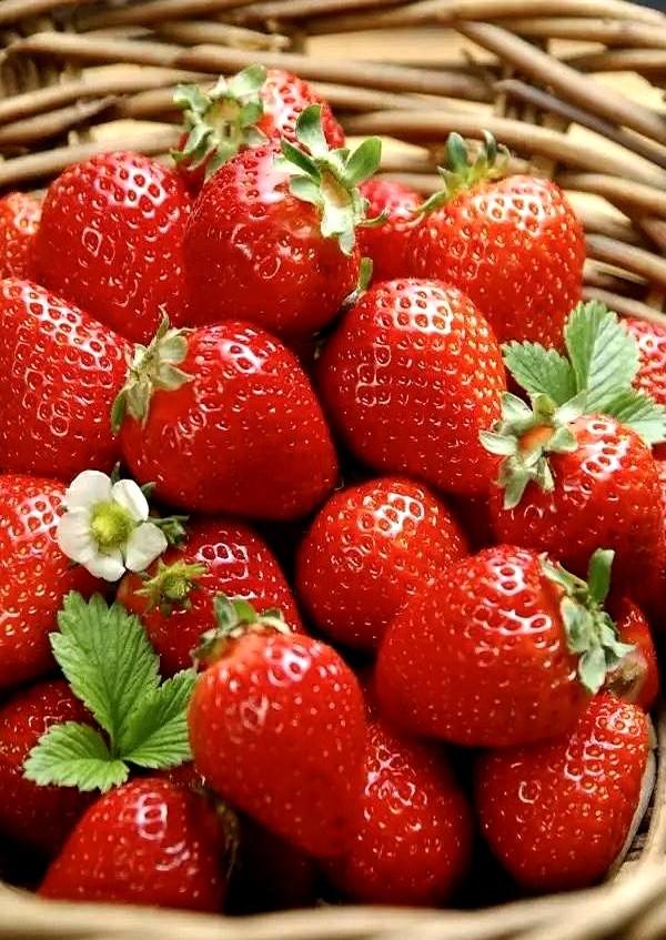 一个周末小故事火出了圈——杭州一位奶奶发帖吐槽儿媳“太能来事”，从给婆婆送草莓到