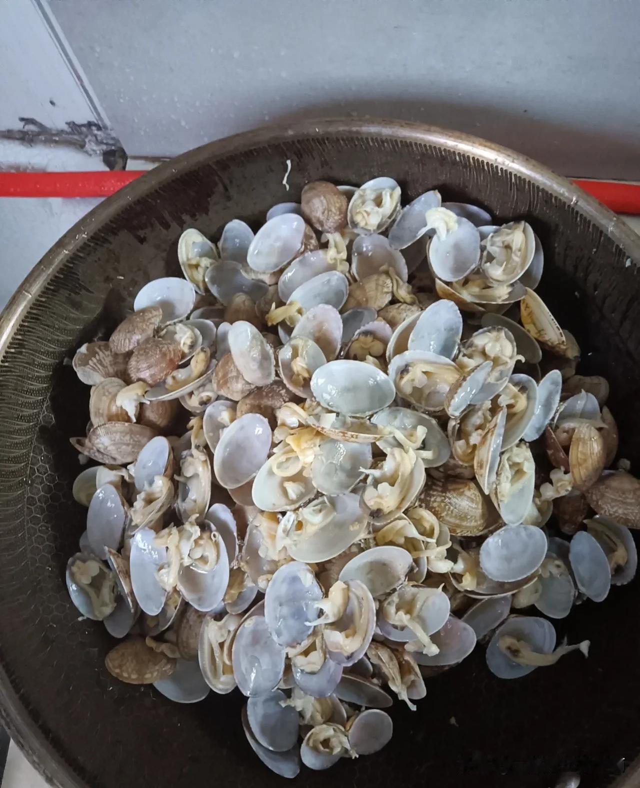 终于找到一个跟我同款吃花甲的人了!

每次去外面吃花甲吃生蚝，我都对着那团黑乎乎
