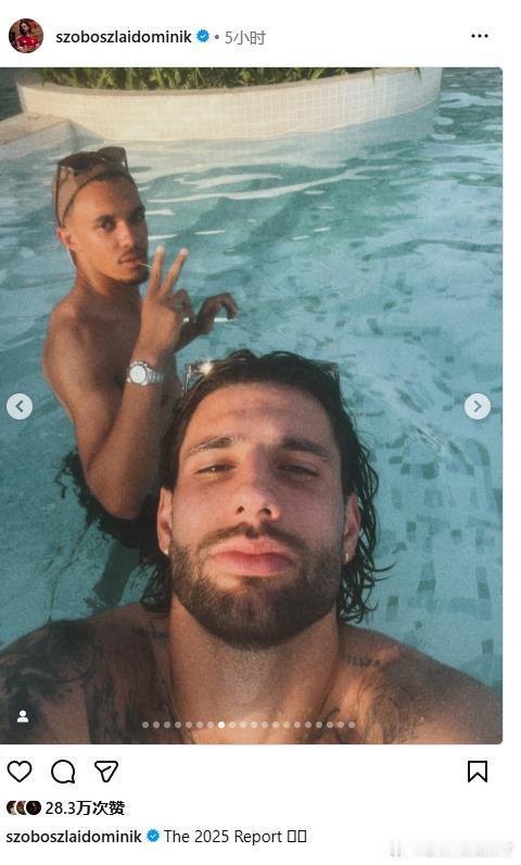 索博的2025年总结，其中有一张和阿诺德的泳池合影 当然，也有喜迎孩子出身，20