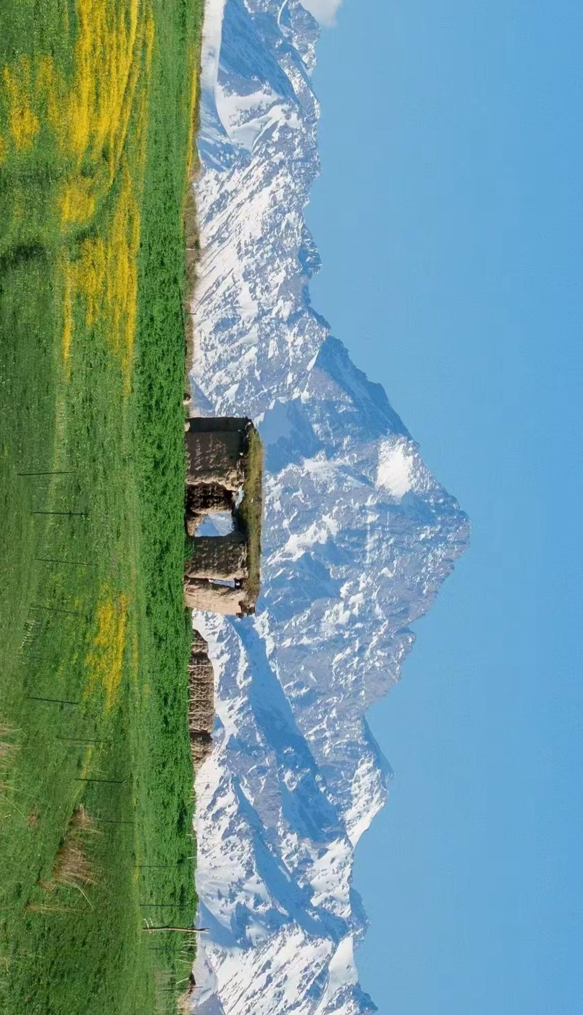 在这片静谧的天地间，雪山巍峨，草地如茵，仿佛时间都放慢了脚步。生活就像这幅画卷，