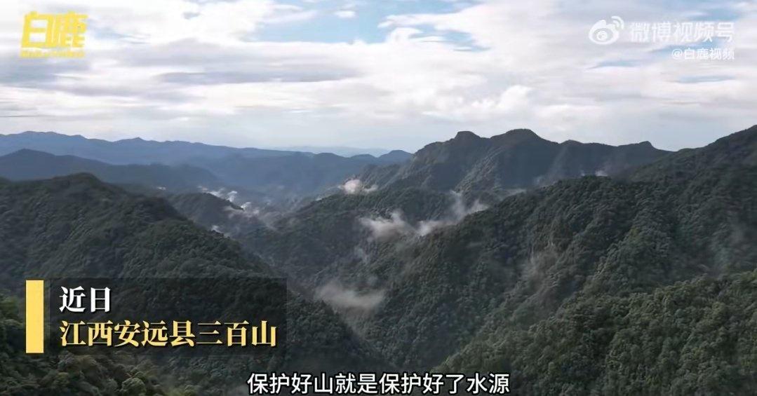 46年，12万公里巡山路，龚隆寿用脚步守护着粤港的“大水缸”。山高路陡挡不住坚守