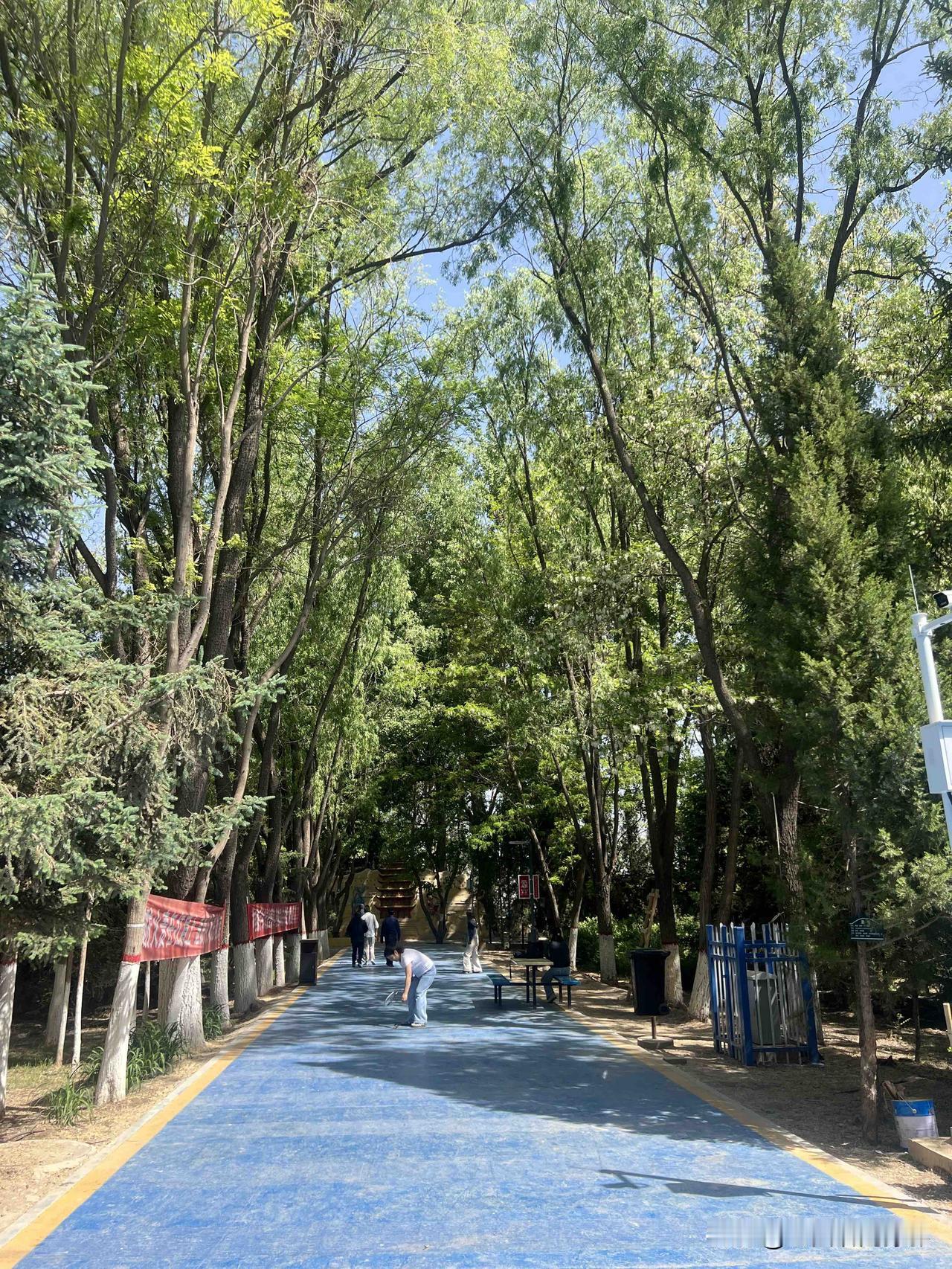 心若不老，岁月无忧

心态养心 永葆年轻之心 人有两种老去的状态，一种是容颜的衰