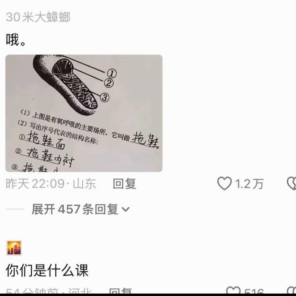 搞笑 差点以为自己是读书的料了抽象