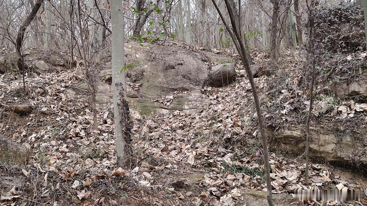 春节期间在自家周边游，别看是自己周边，这可是有上千年的历史文化底蕴，草木皆兵的八