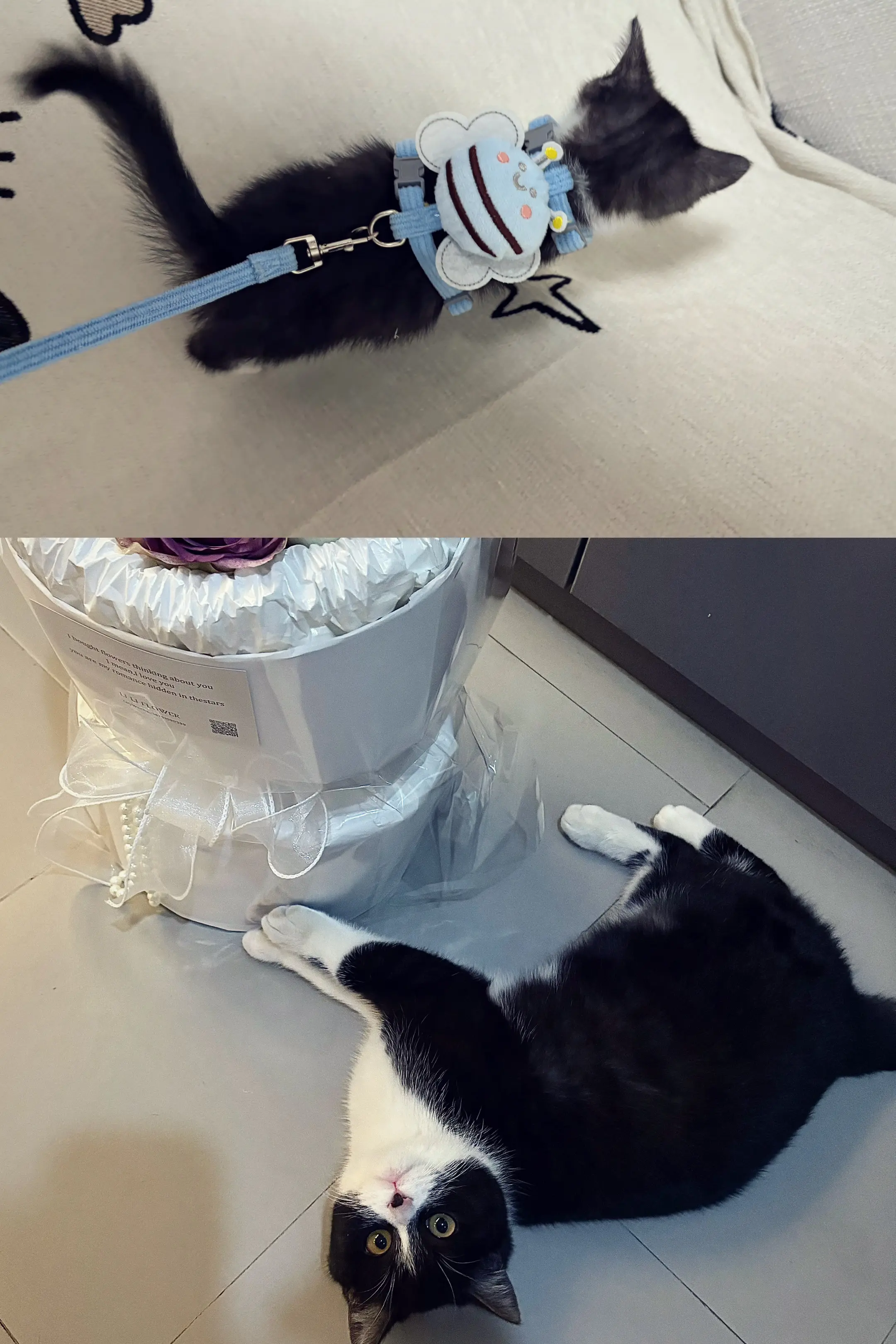 照片的意义大概就是小小的你长大了 在爱你这件事上从来没偷过懒