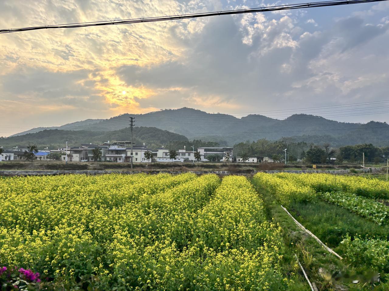 美国网友亲自确认：“斩杀线”不仅仅在美国真实存在，而且比你想象更残酷。

在中文