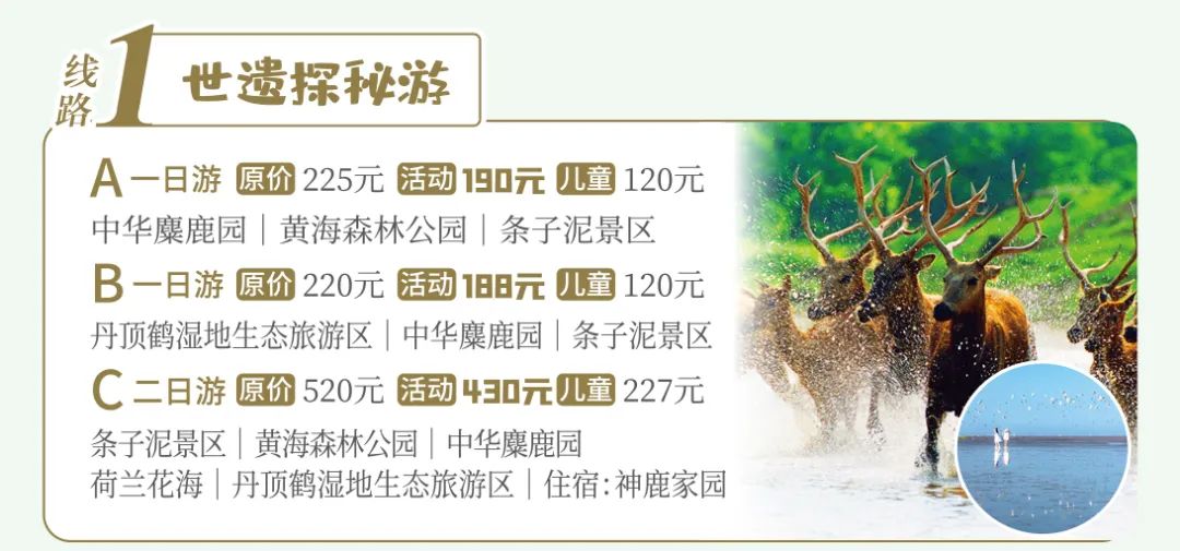 上海长宁|“沪盐旅游线路”发布！来一场“说走就走的旅游”吧！