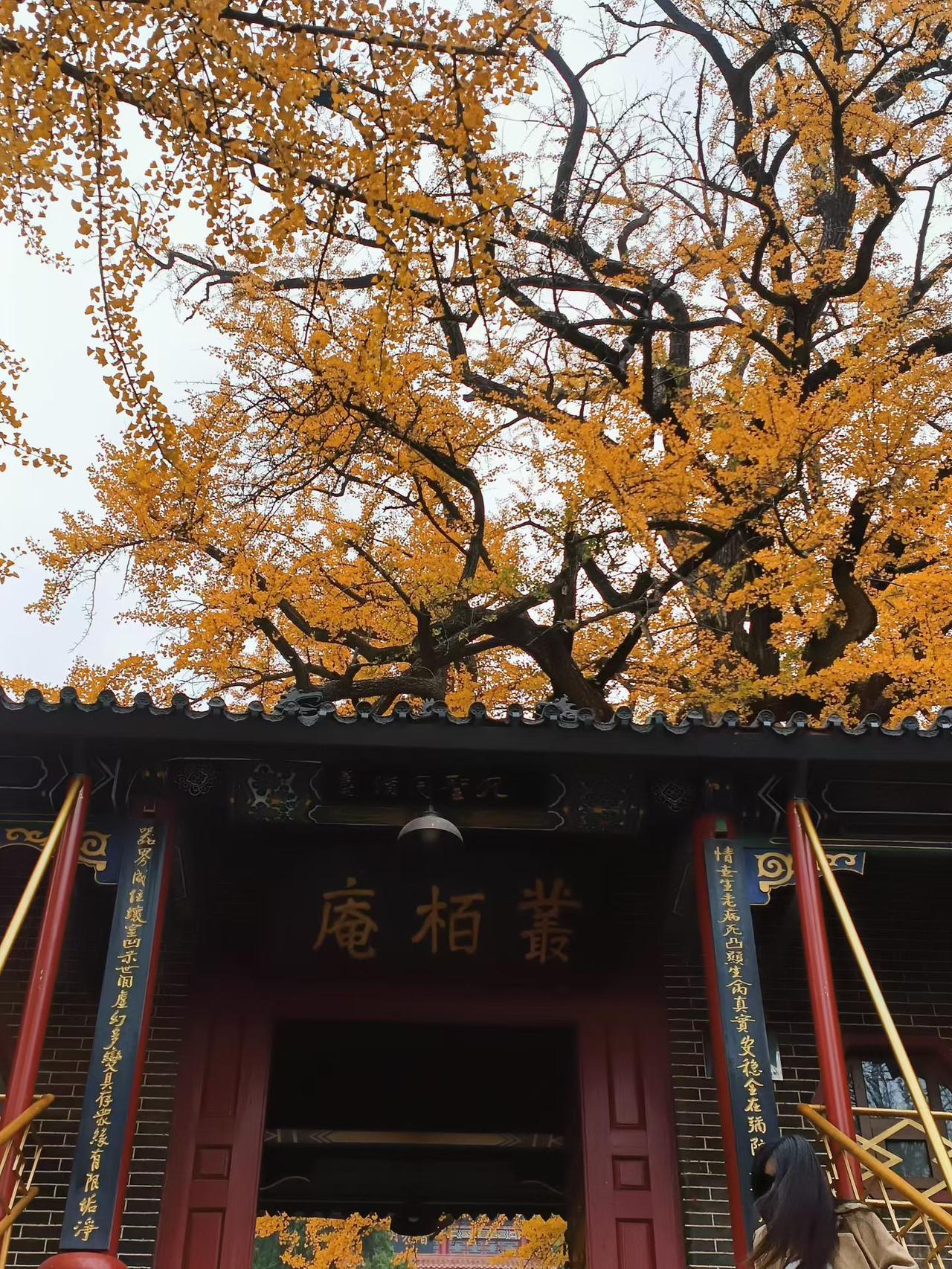 分享你相册里你最喜欢的图片这是位于临沂费县的一个景点，挺不错，欢迎大家来玩。