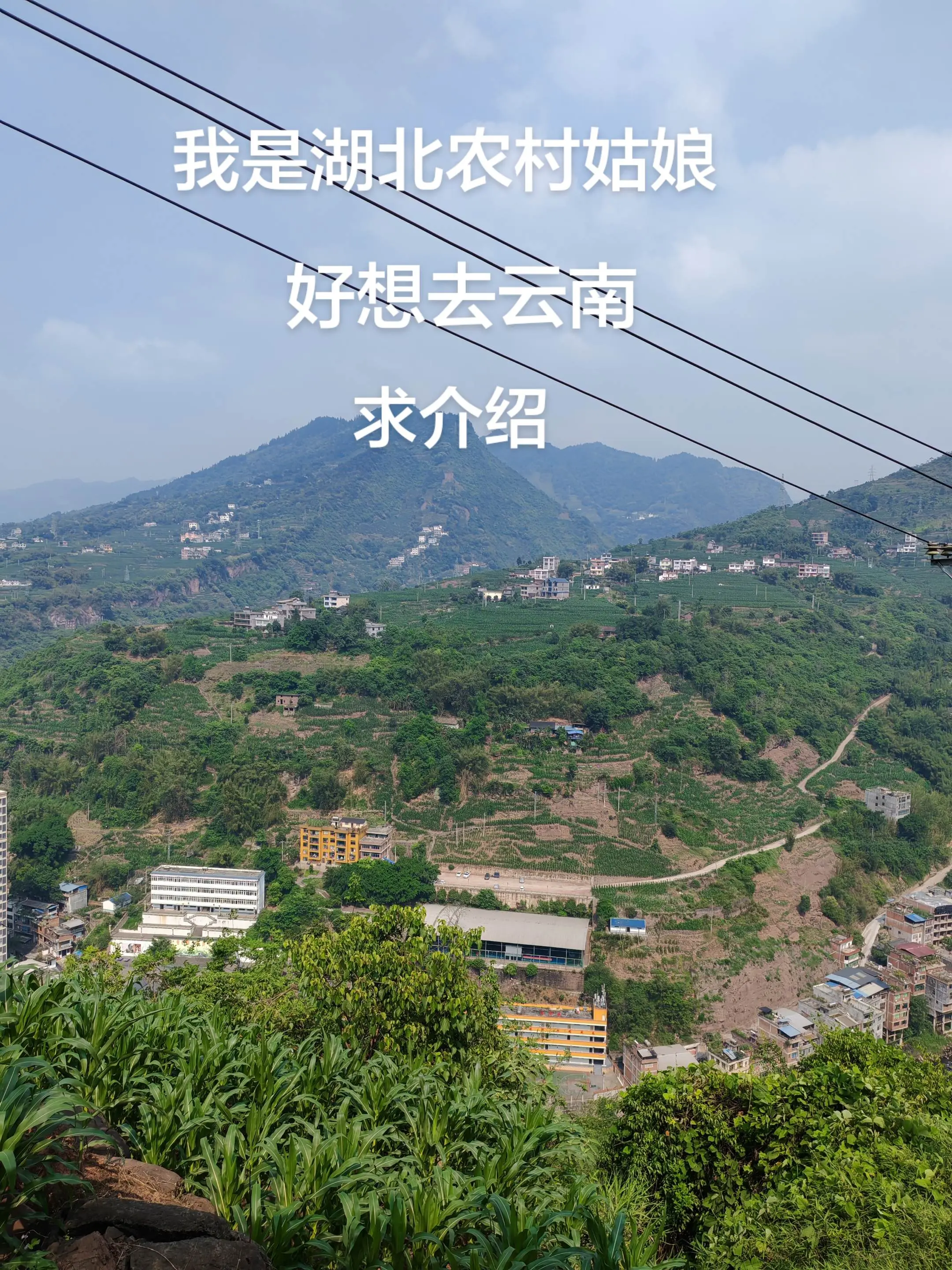 大山里的风景就是这么美