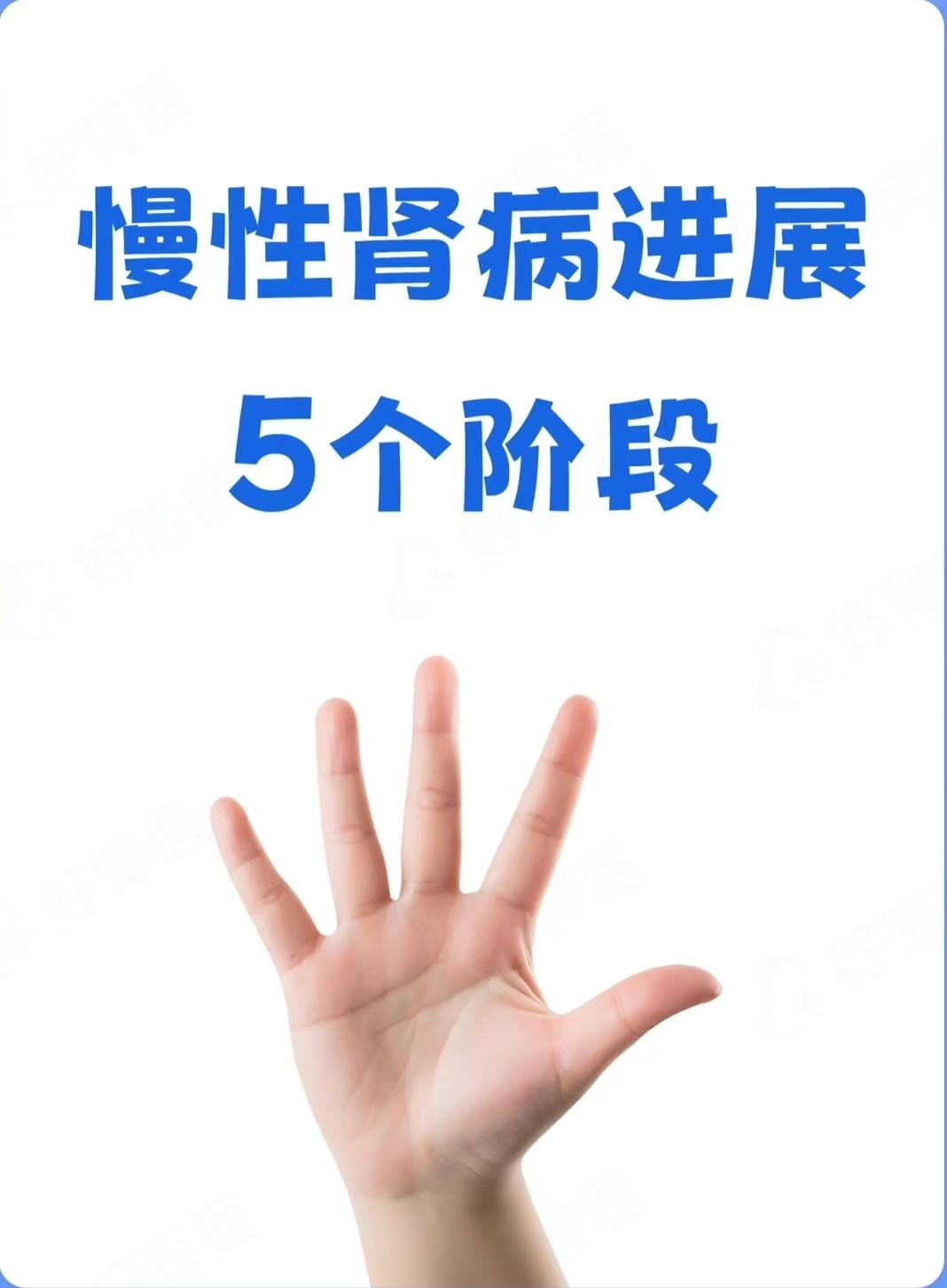 肾病 肾病健康