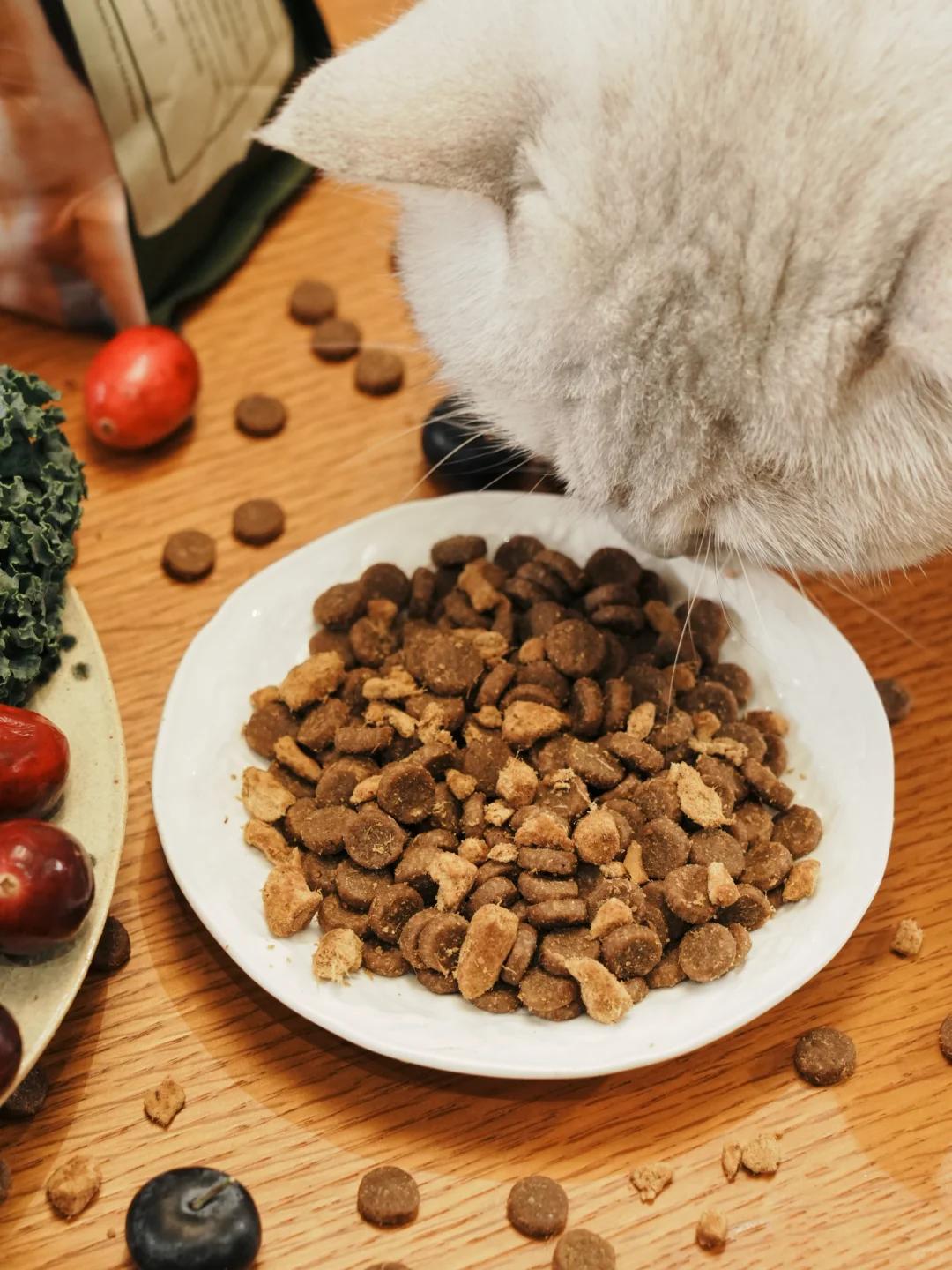 宠物市场黑产不止毒粮！星期宠、天价医疗，坑惨养宠人和毛孩子

315曝光的宠物市