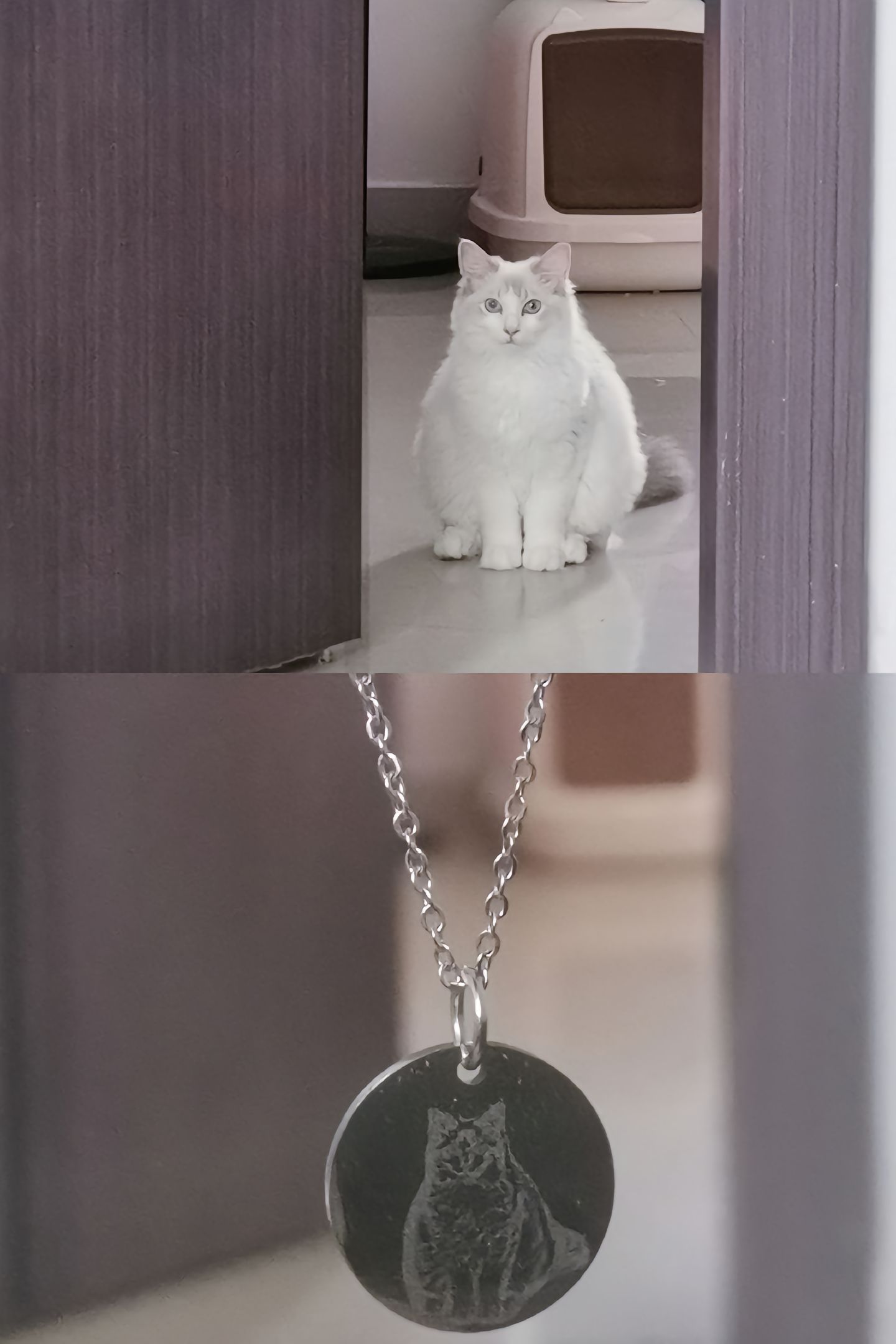 猫说：“妈妈，如果小猫有一天离开你了怎么办？”我说：“我猜我会整天哭泣很想你吧。