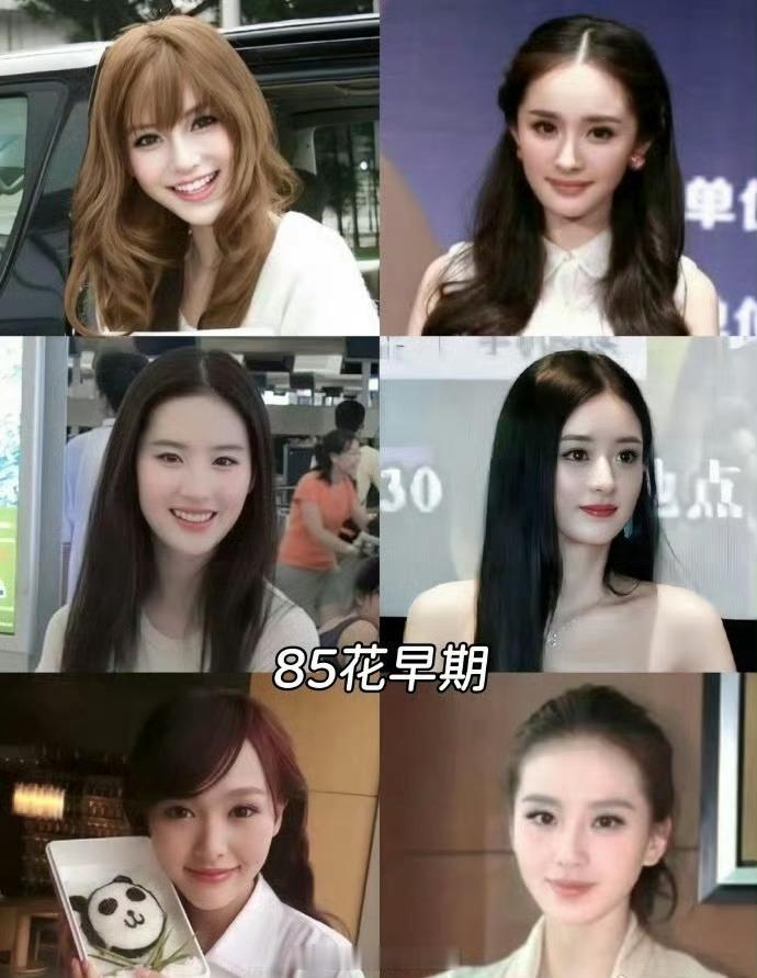 85花90花95花早期颜值 大家感觉差别大吗？ 